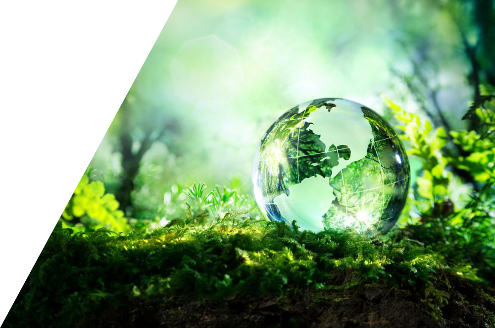 RESPEITO AMBIENTAL